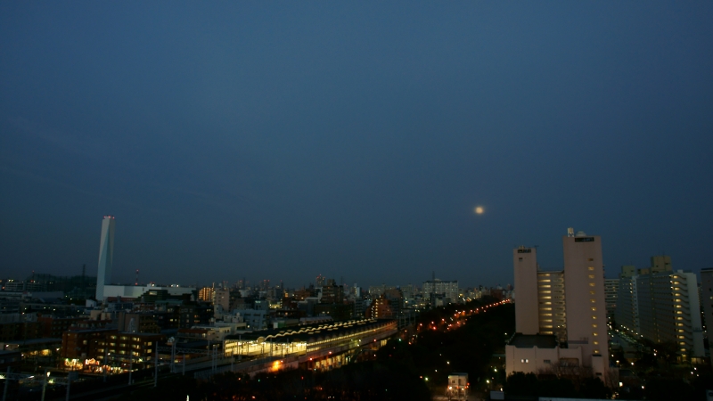 a0185693_5272876.jpg