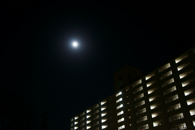 a0185693_5432780.jpg