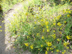 c0166293_1213166.jpg