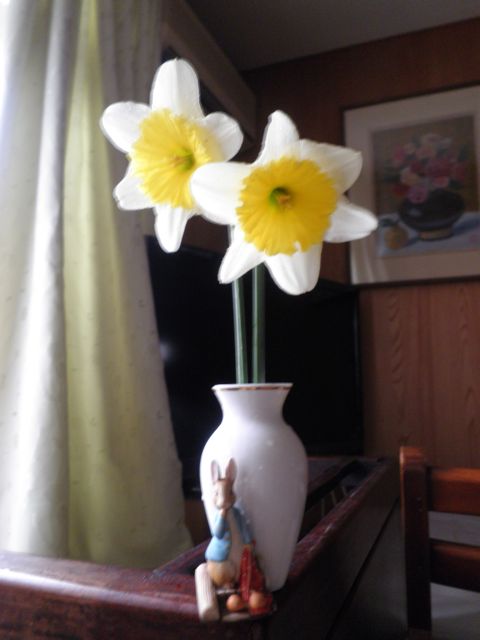 f0130894_17172811.jpg