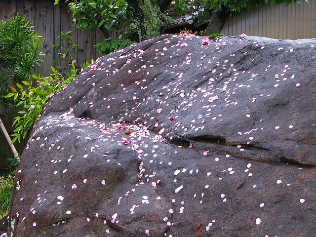 f0181394_17293636.jpg