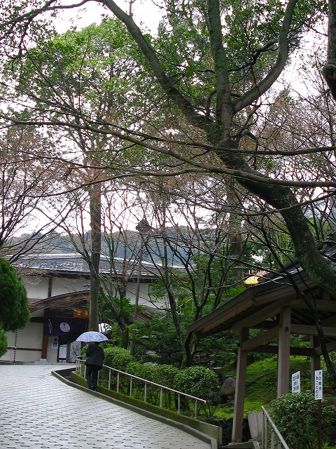 f0181394_17302115.jpg