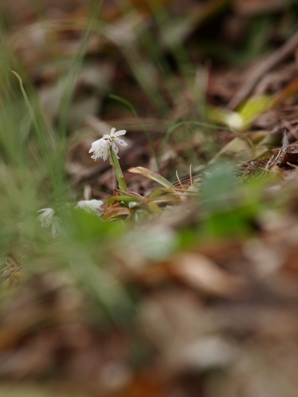 f0224100_2210629.jpg