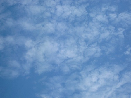 a0040103_21485437.jpg