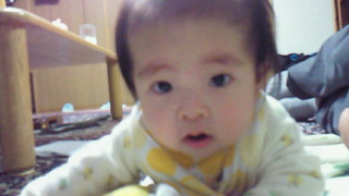 d0149105_209303.jpg