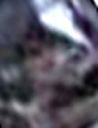 e0103408_1545342.jpg