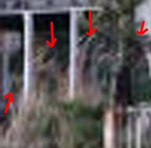 e0103408_15462878.jpg