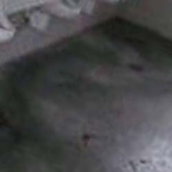e0103408_15482118.jpg