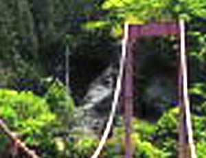 e0103408_16405557.jpg