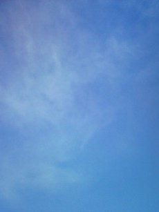 a0087111_18442357.jpg