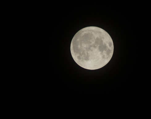 c0133118_13205673.jpg