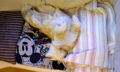 c0150520_9423237.jpg