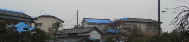 b0093221_9522446.jpg