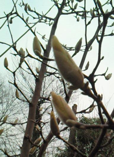b0138430_2092351.jpg