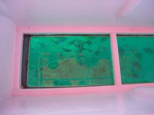 f0238932_9155626.jpg