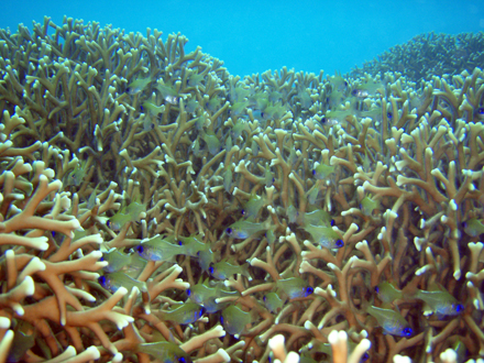 f0014842_1736734.jpg
