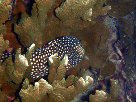 f0014842_17394927.jpg