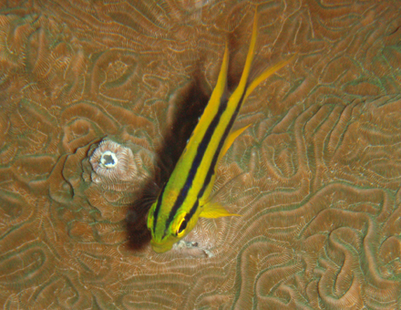 f0014842_17405833.jpg