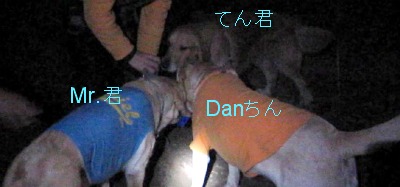 a0142343_13385360.jpg