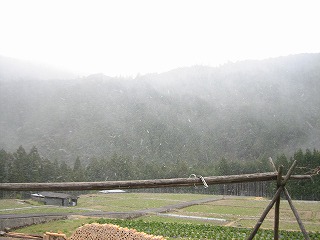 a0054948_12495847.jpg