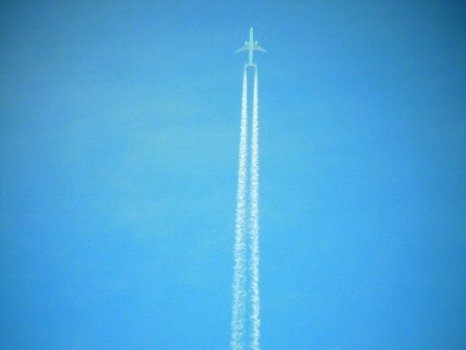 c0171349_11593876.jpg