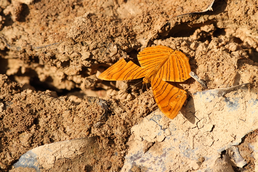 a0094850_12385097.jpg