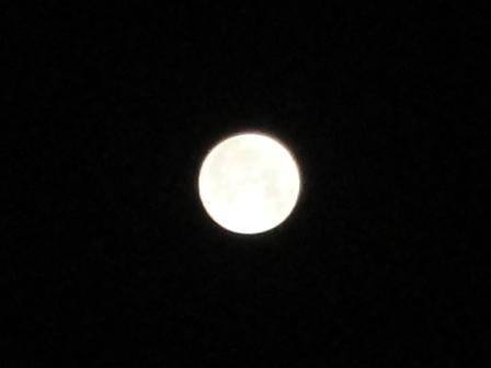 d0109373_2552459.jpg