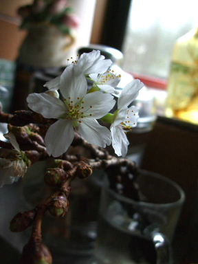 f0039281_218494.jpg