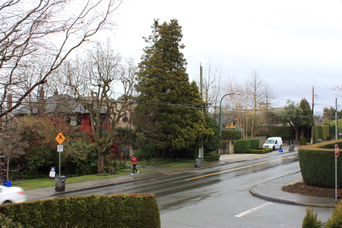 d0129786_12253625.jpg