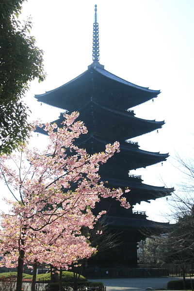 e0051888_7801.jpg