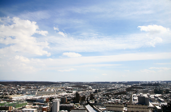 f0001895_17171211.jpg