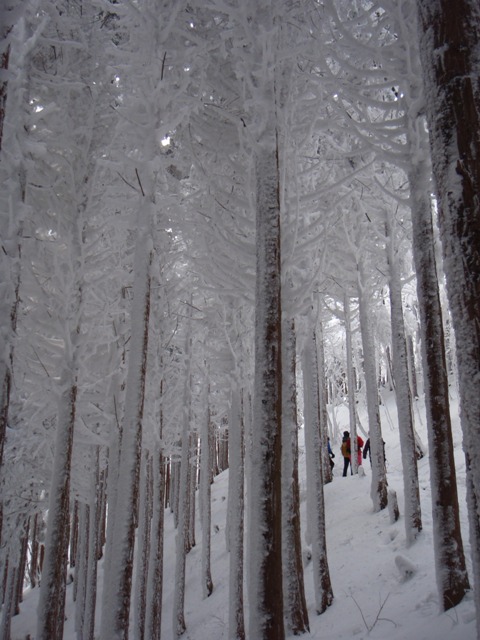 b0039898_19165455.jpg