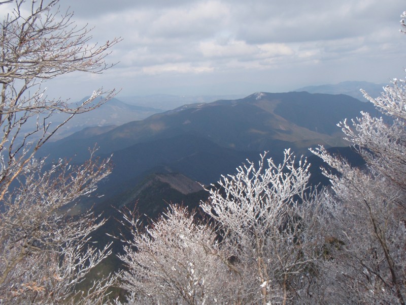 b0039898_19171461.jpg