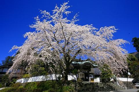 a0188405_14121568.jpg