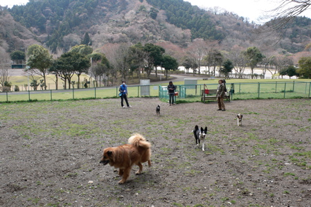 e0014507_215124.jpg
