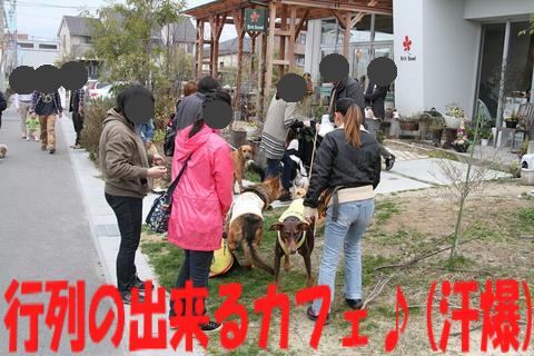 e0100007_21465824.jpg