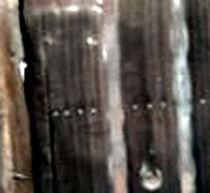 e0103408_1655692.jpg