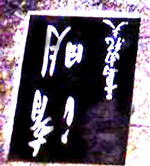 e0103408_19455353.jpg