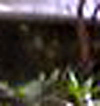 e0103408_19572216.jpg