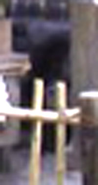 e0103408_19573721.jpg