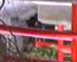 e0103408_1957616.jpg