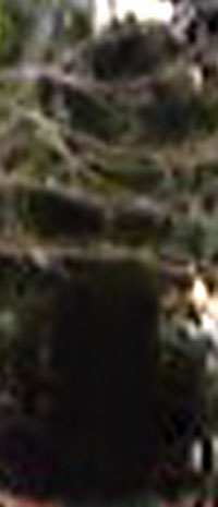 e0103408_1958013.jpg