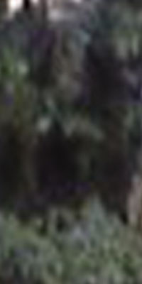 e0103408_19581154.jpg
