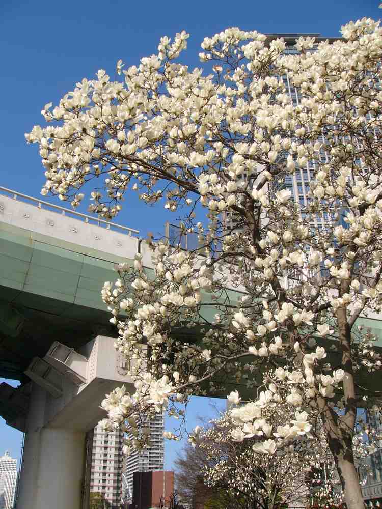 c0062511_23102027.jpg