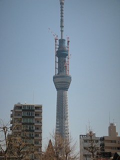 c0141011_9502683.jpg