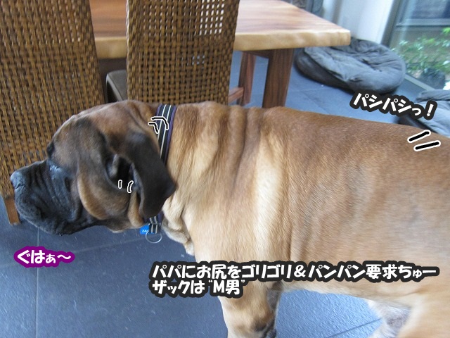 e0192217_7523083.jpg
