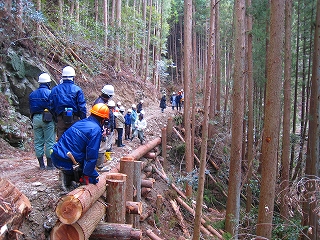 e0002820_18324133.jpg