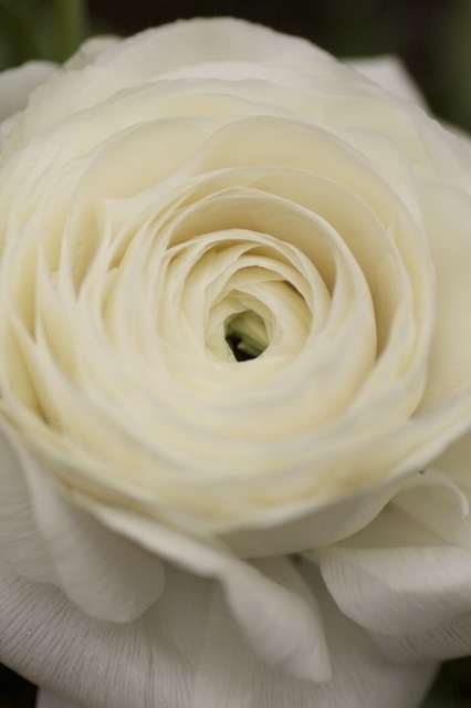 e0021328_15285866.jpg