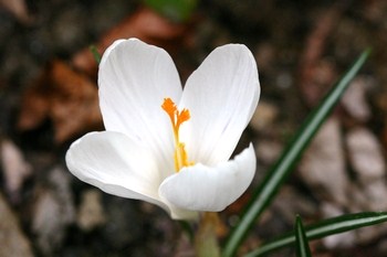 c0134734_1447415.jpg