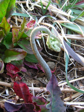 c0134734_23425929.jpg